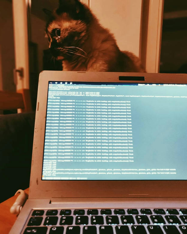 Photo shared by Coffee'n'Code on August 20, 2019 tagging @wildcatliving, @coderlifes, @lovecoders, @codingdays, and @codeclique.