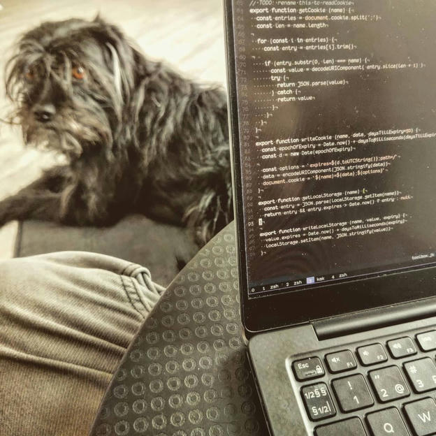 Photo shared by Coffee'n'Code on March 13, 2021 tagging @fussel, @worldofprogrammers, @comment_sense, @code.community, @lovecoders, @codepeople, @coding_deck, and @_devcommunity. May be an image of laptop.