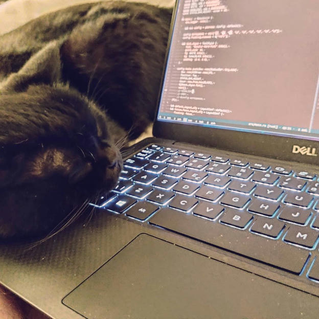 Photo shared by Coffee'n'Code on November 18, 2020 tagging @cats_of_instagram, @comment_sense, @thepracticaldev, @codelogs, @code.community, @lovecoders, @codeclique, @_whatthetech, and @_devcommunity. May be an image of laptop.