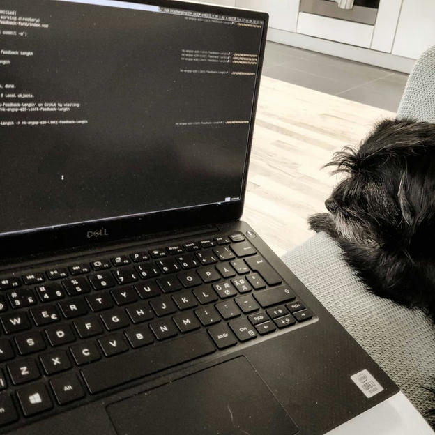 Photo shared by Coffee'n'Code on November 17, 2020 tagging @fussel, @comment_sense, @code.community, @lovecoders, @coding_deck, @codeclique, @_whatthetech, and @_devcommunity. May be an image of laptop.