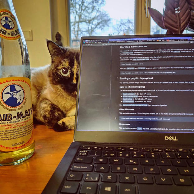 Photo shared by Coffee'n'Code on December 22, 2020 tagging @cats_of_instagram, @clubmate_germany, @worldcode, @comment_sense, @code.community, @_programmers.life, @lovecoders, @programer.life, @coding_deck, @programunity, @codeclique, @_whatthetech, and @_devcommunity. May be an image of laptop.