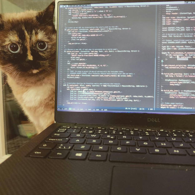 Photo shared by Coffee'n'Code on January 19, 2021 tagging @cats_of_instagram, @worldcode, @comment_sense, @code.community, @codingcommunity, @lovecoders, @coding_deck, @programunity, @codeclique, and @_devcommunity. May be an image of sitting and laptop.