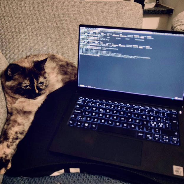 Photo shared by Coffee'n'Code on November 30, 2020 tagging @comment_sense, @thepracticaldev, @code.community, @lovecoders, @coding_deck, @codeclique, @_whatthetech, and @_devcommunity. May be an image of laptop.
