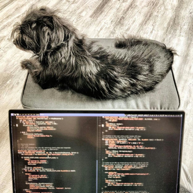 Photo shared by Coffee'n'Code on April 07, 2021 tagging @coding, @worldofprogrammers, @worldcode, @comment_sense, @code.community, @lovecoders, @programer.life, @coding_deck, @programunity, @d_dev_guys, and @_devcommunity.