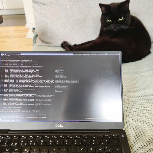 Photo shared by Coffee'n'Code on August 26, 2020 tagging @cats_of_instagram, @dailyfluff, @programunity, @codeclique, @_whatthetech, and @_devcommunity.